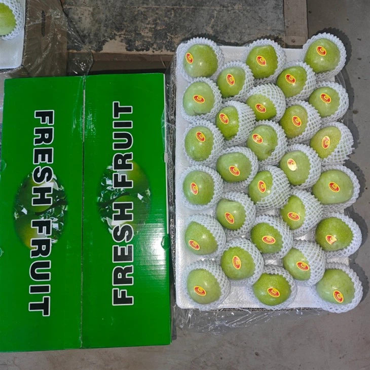premium green apple