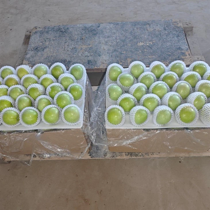 premium green apple