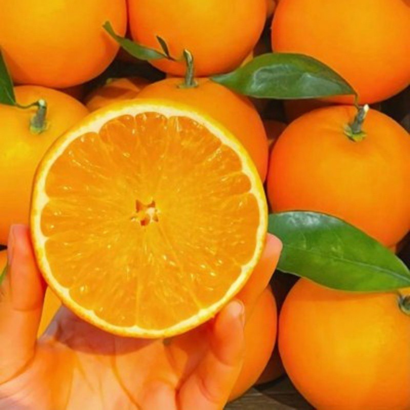 t04ff314e2075751648 t04ff314e2075751648