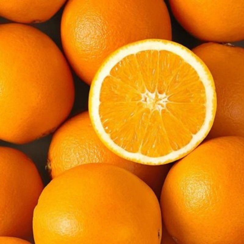 t0450fd39d47a114fbc t0450fd39d47a114fbc