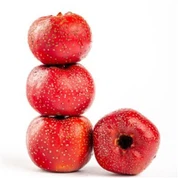 Свежий натуральный боярышник по заводским ценам, идеальное качество